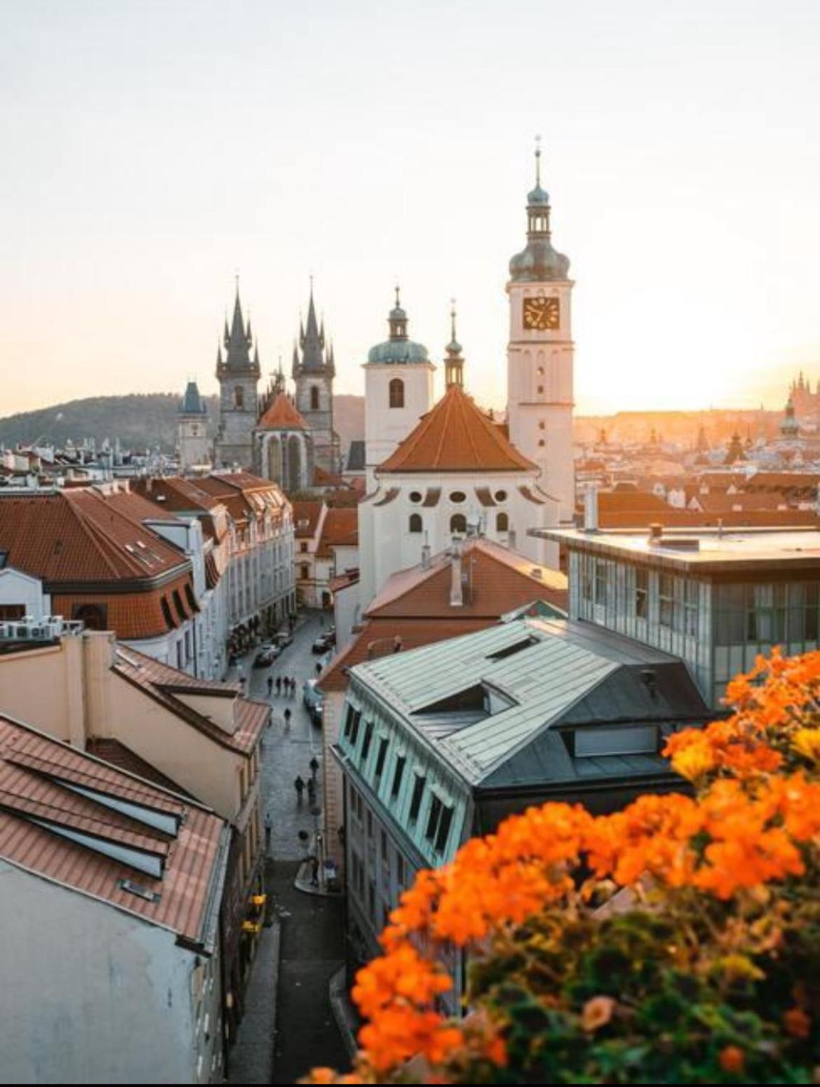 Lejlighed Bilkova Prag